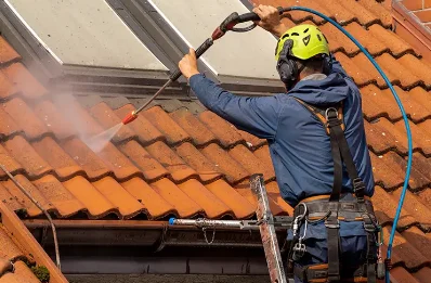 Démoussage et hydrofuge de toiture à Veuve